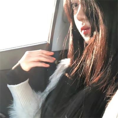 虎鲨王